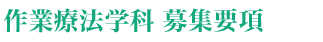 作業療法学科 募集要項