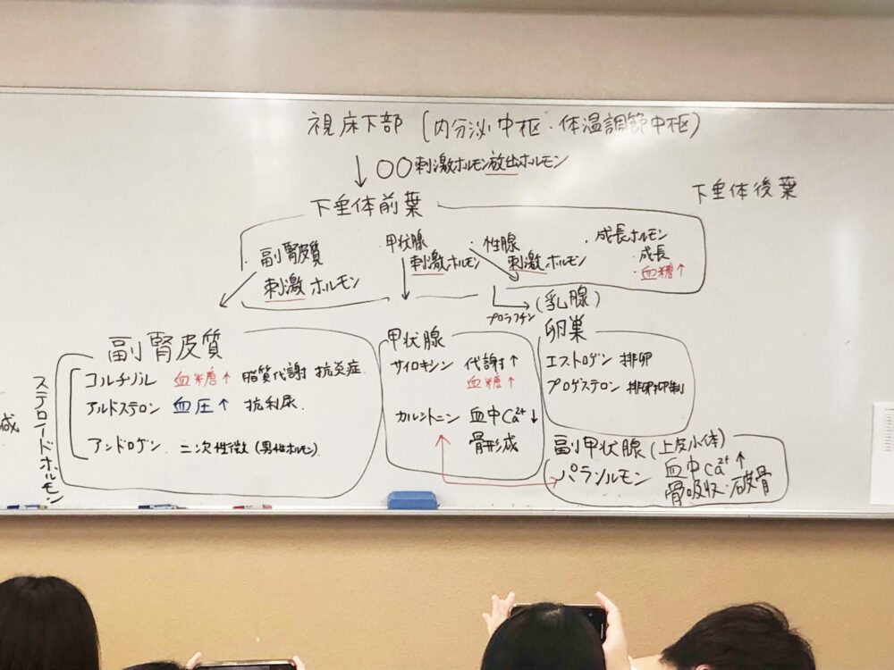 熱い授業の様子