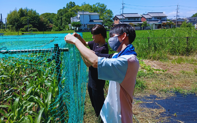 畑で作業をする介護福祉学科の学生