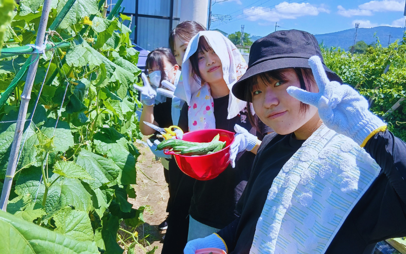 畑ボランティアに参加する介護福祉学科の学生