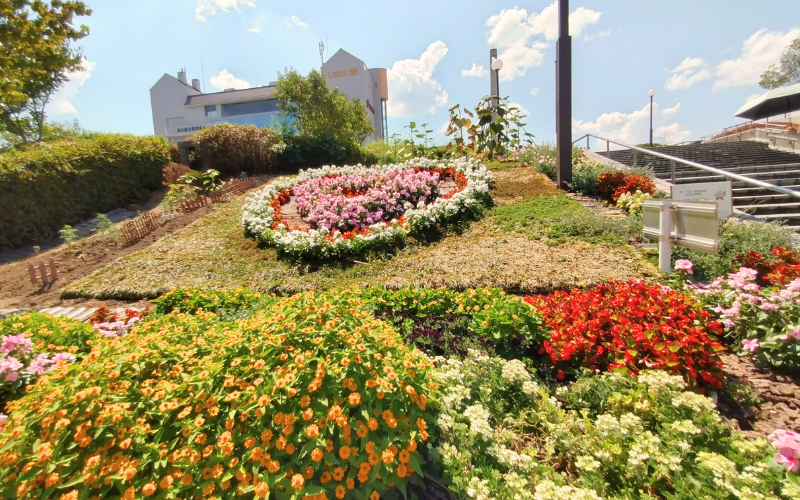 色とりどりの花が咲く高の原駅前の花壇